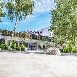 Hotel Ammon